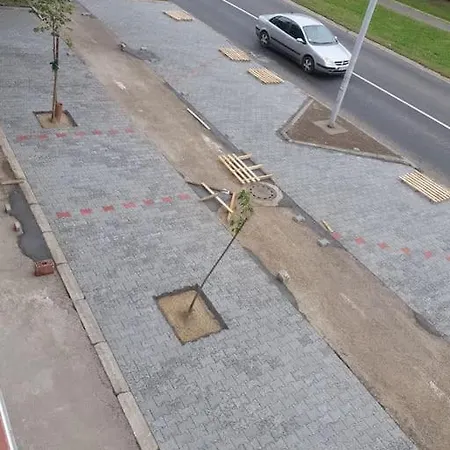 Small Cute Single A2 In