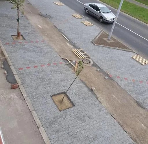 Small Cute Single A2 In