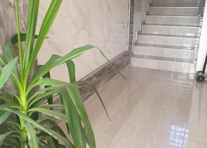 Small Cute Single A2 In Pančevo